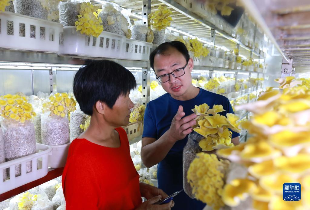 mg游戏大厅