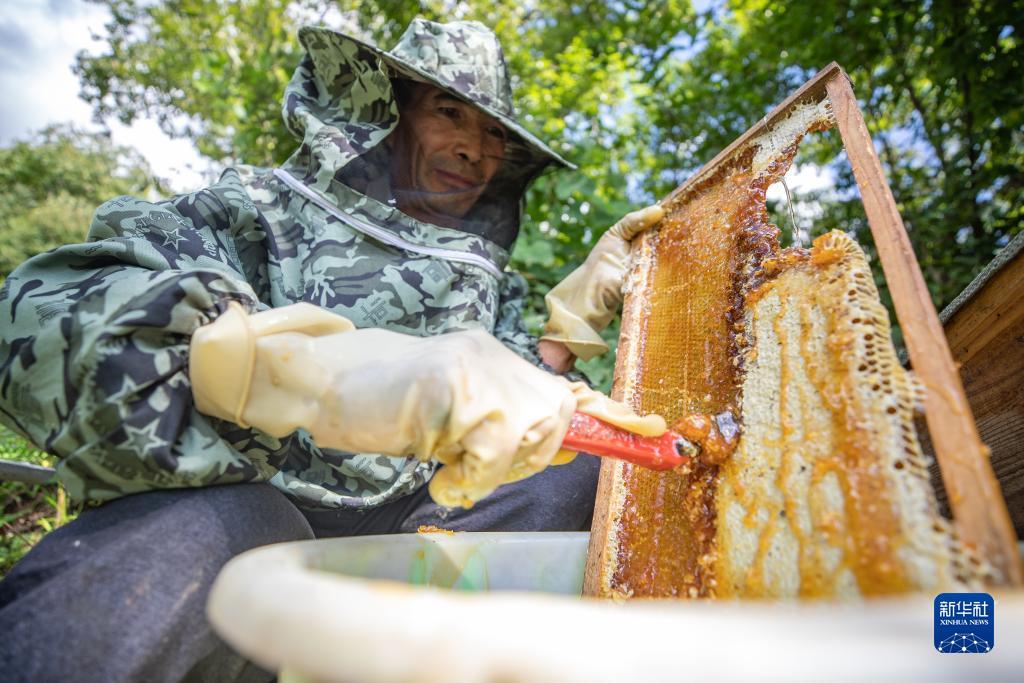 沈阳棋牌网